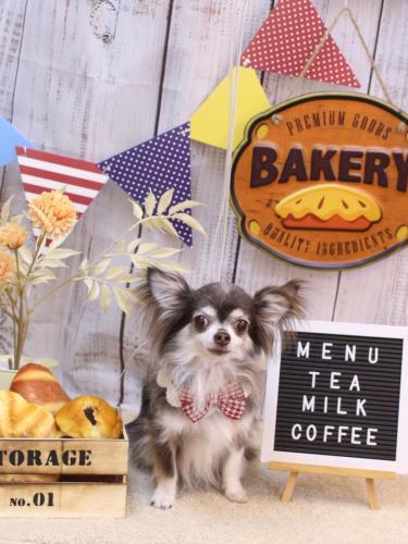 20240913空太くん